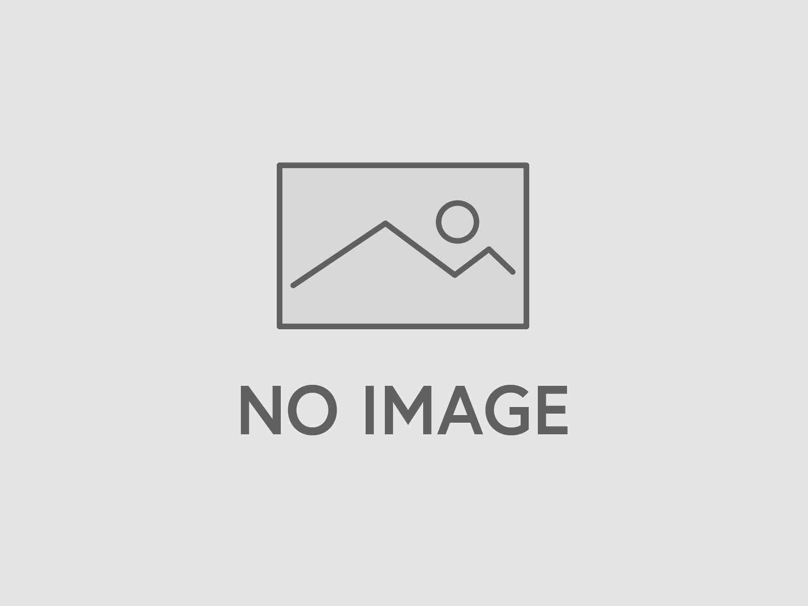 画像がないという意味の画像